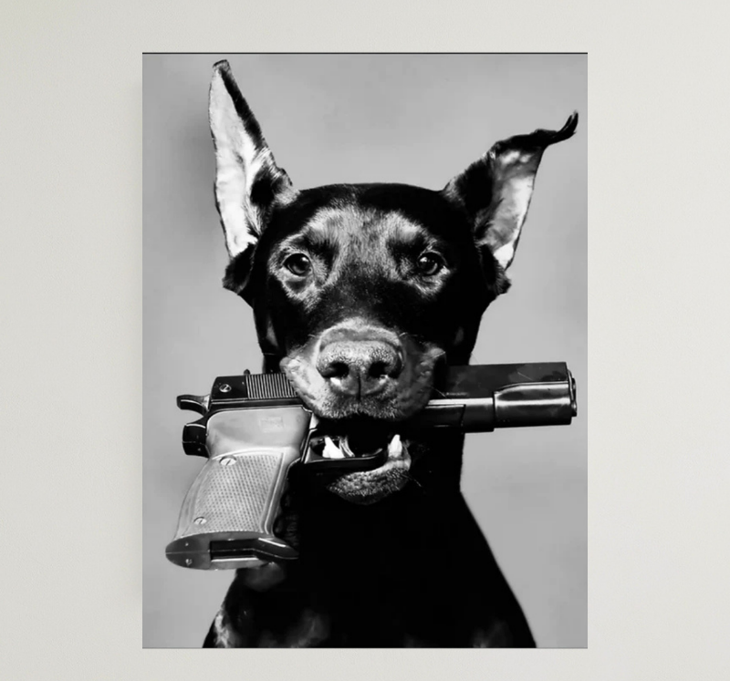FASHION DOG