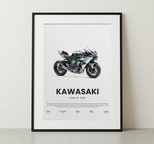 NINJA H2R
