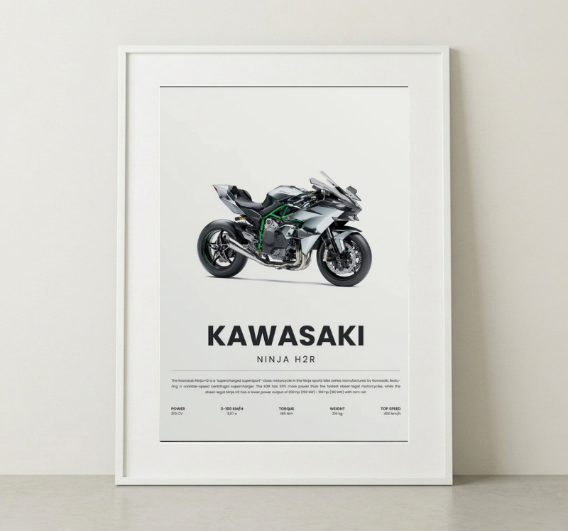 NINJA H2R