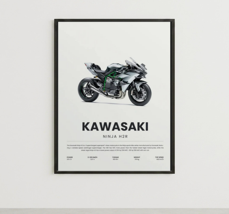 NINJA H2R