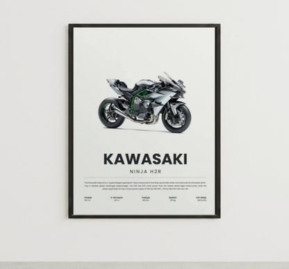 NINJA H2R