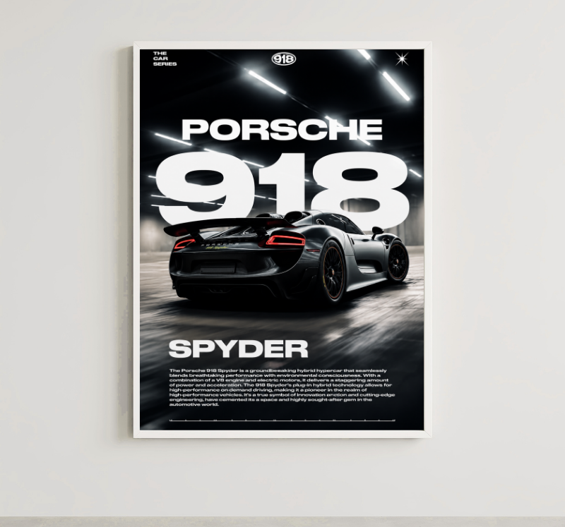 PORSCHE 911 SPIDER