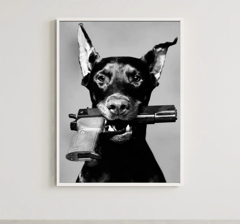 FASHION DOG