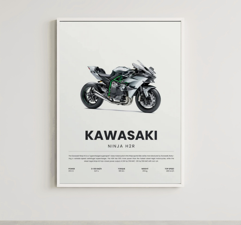 NINJA H2R