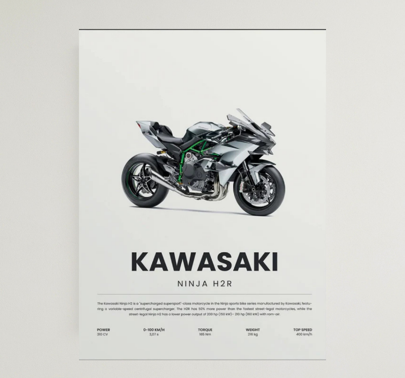 NINJA H2R
