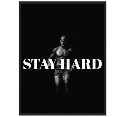 STAY HARD