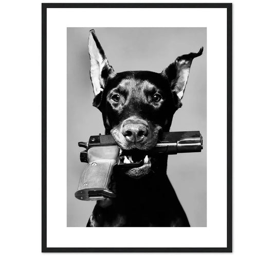 FASHION DOG