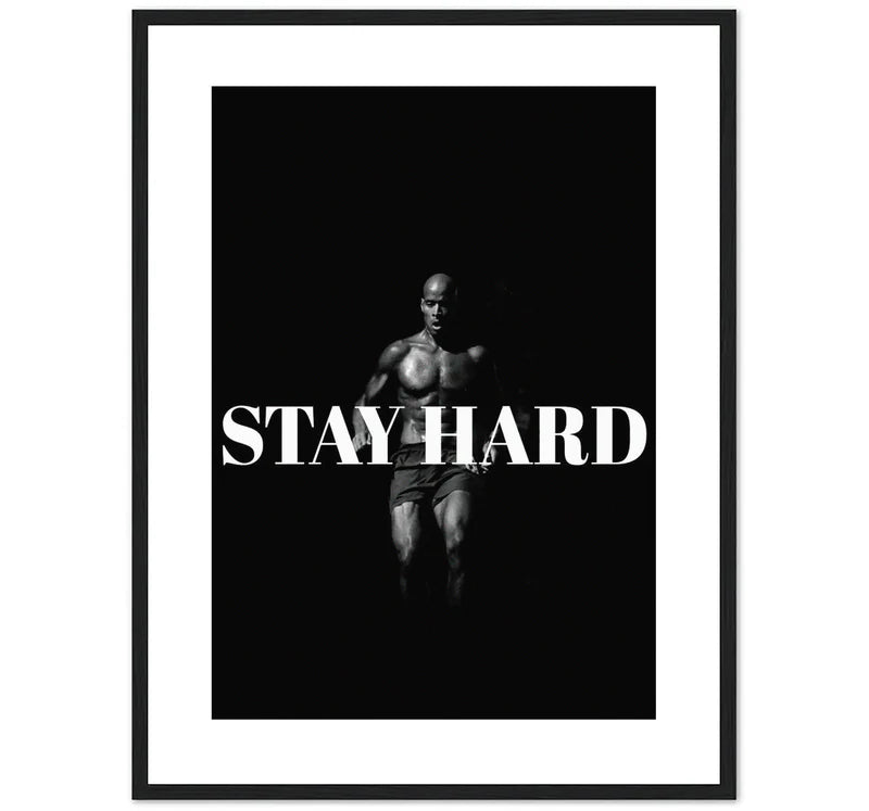 STAY HARD