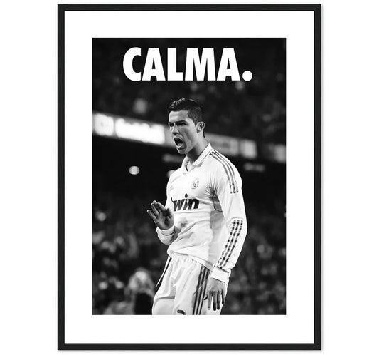 CALMA 7
